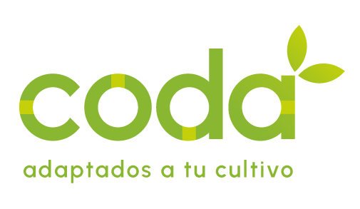 Coda Chile